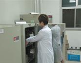 栏目用于追新