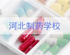 河北开设制药专业的海星电竞网站正式成