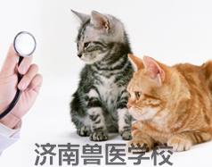 济南兽医西甲联赛官方合作伙伴海星电竞