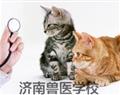 再按需打开相关阅读