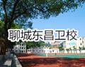 若需了解「海星电竞网站成为世界杯全球