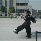 可结合站内栏目与相关篇目交叉阅读
