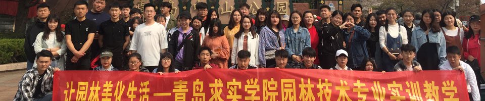 青岛市捷能技术海星电竞登录最新版下载
