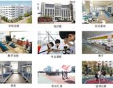 可结合站内栏目与相关篇目交叉阅读