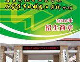 栏目用于追新