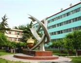 再按需打开相关阅读