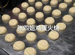 海星电竞网站最新版下载