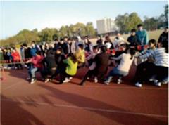 海星电竞登录新手怎么玩
